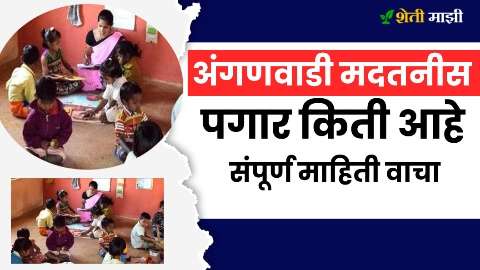 anganwadi madatnis salary