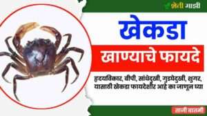 top 05 benefits of eating crab in marathi